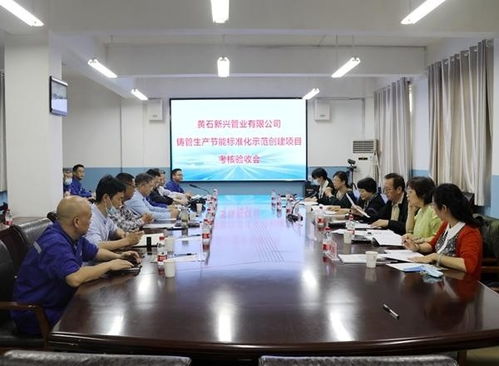 黄石新兴管业 以国家节能标准化示范项目为新起点，引领新兴能源技术研发新篇章
